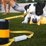 Pet Supplies Retractable Adjustable Dog Leash